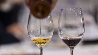 Valencias vinprovning och tapasupplevelse