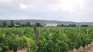 Weinprobe und Führung im Domaine du Clos d'Alari
