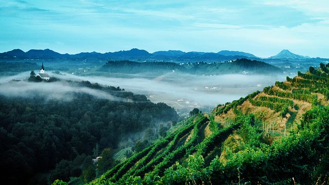 Stajerska Slovenien Winelovers dröm