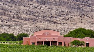 Degustazione di vini alla Bodega El Cese