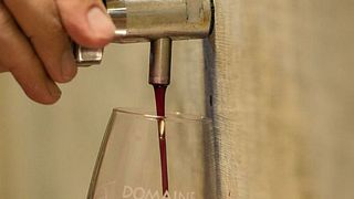 Weinprobe und Führung im Domaine de Poulvarel