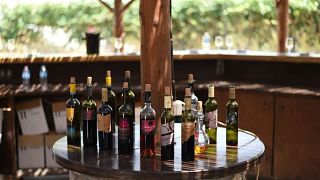Degustazione di vini e tour della Valle delle Farfalle