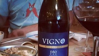 Degustação de vinhos e visita à Freire Lobo Unipessoal