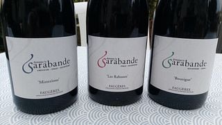 Cata de vinos y tour en Domaine la Sarabande
