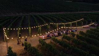 Middag i Vineyards på Palagina