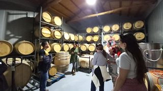 Weinprobe im Schloss