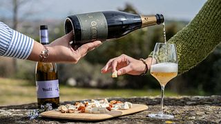 Mas Bertran Winery
