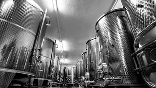 Degustação de vinhos com caminhada pelos vinhedos em Weingut Andreas Schmid