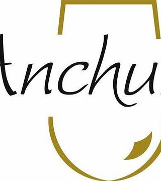 Degustazione e tour di vini popolari ad Anchorón