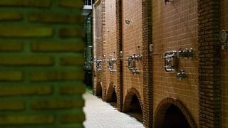 Entdecken Sie La Jaraba: Weinprobe, Oleotourismus und Lactealtourismus