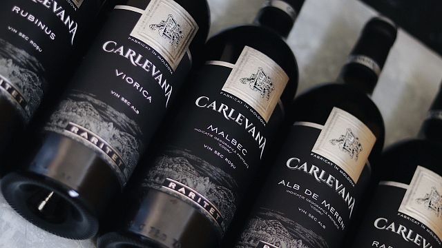 Cata de vinos y visita a la bodega Carlevana