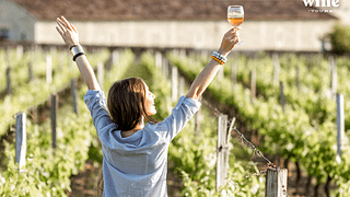 Tour del vino Lujan de Cuyo