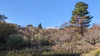 Etnella di Davide Bentivegna