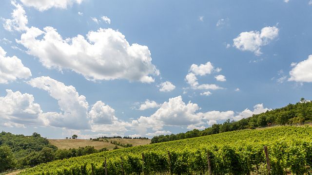 Torre Bisenzio Winery