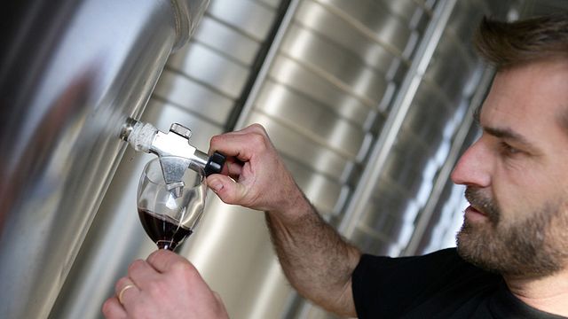 Degustazione di vini e visita al castello di Camarsac