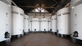 Dégustation de terroir à Quinta Do Piloto