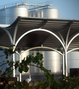 Degustazione di vini e tour presso Andrew Peace Wines