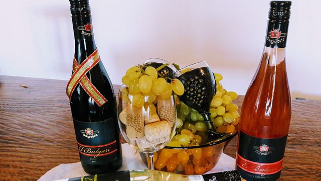 Tre vinprovningar och rundtur i Belogradec -Varna