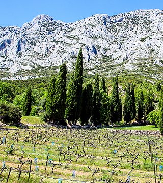 Provenza - Mont Sainte Victoire en busca de Cézanne, descubra los viñedos únicos del paisaje provenzal - visita privada