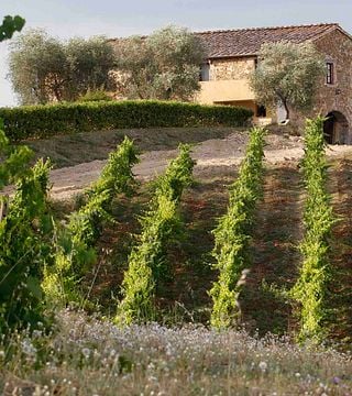 Vinprovning på Castello di Selvole