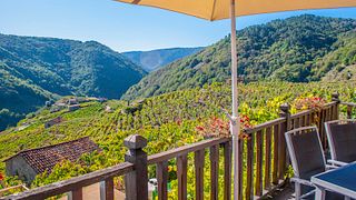 Recorrido privado por la Ribeira Sacra