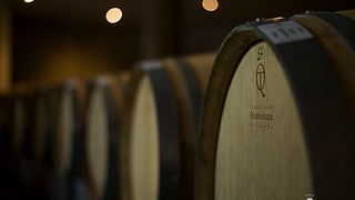 Premium Wine Tasting and Tour at Bodega DiamAndes