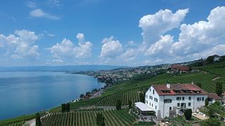 Vaud Wine & Chocolate Escape at Domaine de la Crausaz