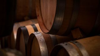 Dégustation de vins et visite de la vigne et de la cave à Quinta da Falorca