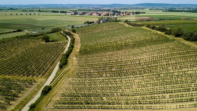 Weingut Hebenstreit