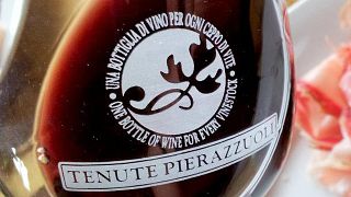 Weinprobe und Führung durch das Weingut
