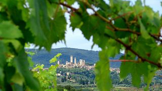 Campochiarenti Winery