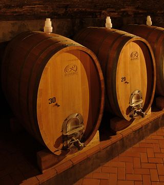 Degustazione e visita a Rovero