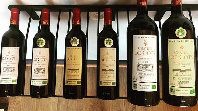 Cata de vinos y visita al Château de Côts