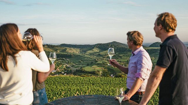 Degustazione di vini e visita al Kaiserstuehler Winzerverein Oberrotweil