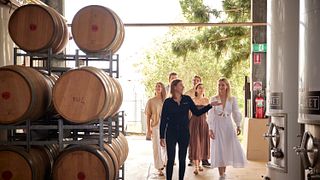 Visite et dégustation de vins au domaine Sirromet
