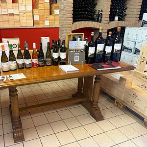 Visite et dégustation de vins en famille « incroyable » chez Macchie Santa Maria