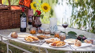 Wine Tasting and Tour at Vignobles Carles