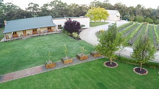 Pirathon Cellar Door 