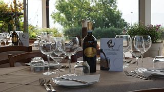 Dégustation de vins et déjeuner dans le vignoble du Vésuve à Tenuta Le Lune del Vesuvio