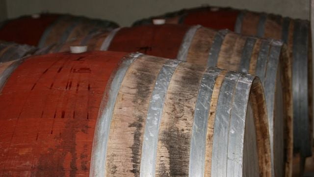 Vini arancioni della Sardegna Donne