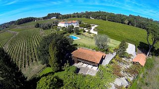 Degustazione di vini e tour al Solar Das Bouças