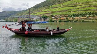 Tour del Valle del Duero con un sumiller
