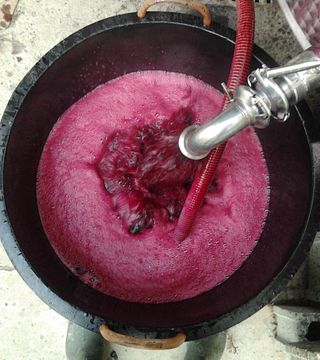 Degustação de Vinhos e Tour na Azienda Agricola Marco Rabino