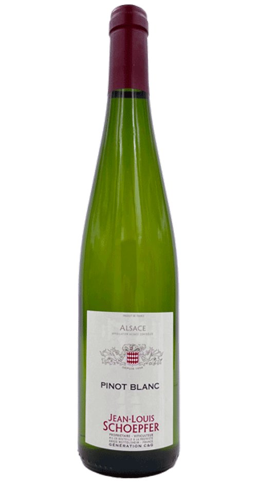 Pinot Blanc