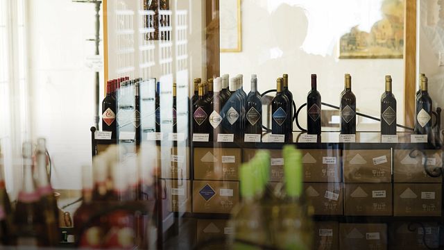 Degustação de vinhos e tour na Taschner Wine- And Sparklinghouse