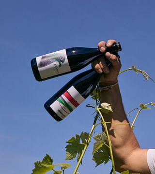 CLASSIC TASTING