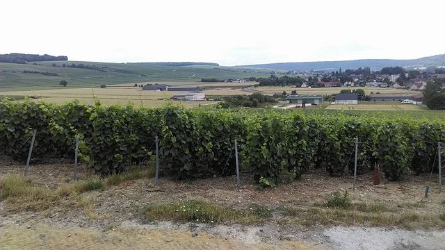 Champagne Baron-Fuenté: A Legacy of Quality