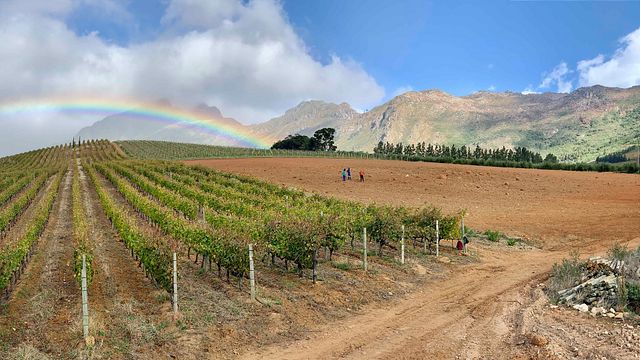 Oldenburg Vineyards