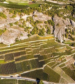 Tour de aperitivos e degustação de vinhos Valaisan no Domaine Jean-René Germanier