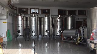 Santantoni Winery